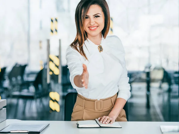 Recursos humanos entrevista de trabajo cita femenina — Foto de Stock