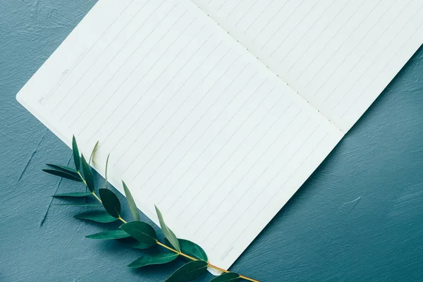 リストアップするために空のノートを開く緑の葉 — ストック写真