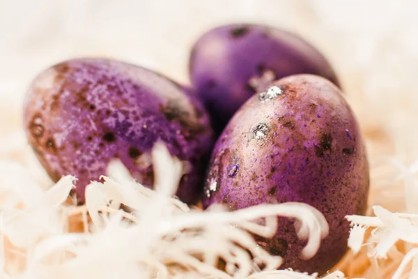 Húsvéti dekoráció ünnep elrendezés lila tojás — Stock Fotó