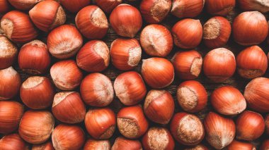 hazelnut background harvest time fall season
