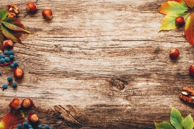 autumn bakground harvest time nuts grape leaves