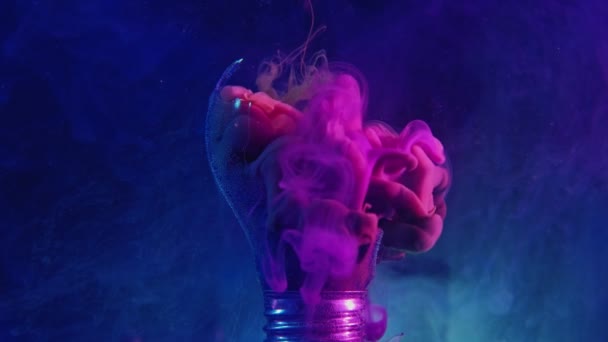 Color ink splash fruit dove pink smoke light bulb — Stockvideo