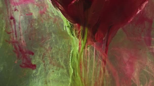 Color tinta flor fruta paloma rosa pintura verde mezcla — Vídeos de Stock
