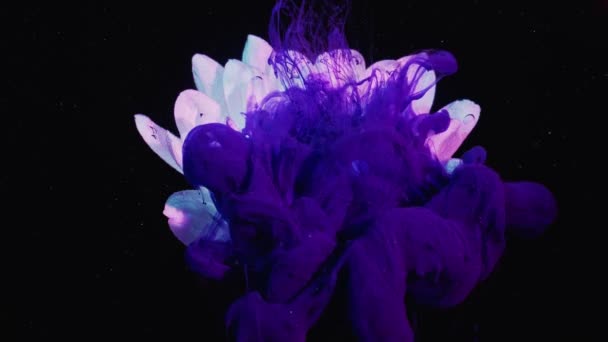 Underwater ink shot phantom blue smoke cloud daisy — Stock Video