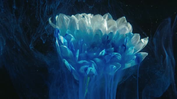 Flower ink art phantom blue fog motion petals — Stock Video