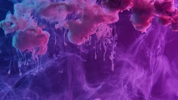 Цвет дыма облака пара фиолетовый синий свет — стоковое видео