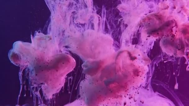 Farbe Flüssigkeit Spritzer Staub Rauch Strömung lila blau Neon — Stockvideo