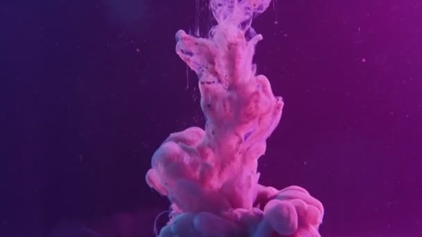 Bläck vatten stänk rök moln rörelse lila blått — Stockvideo