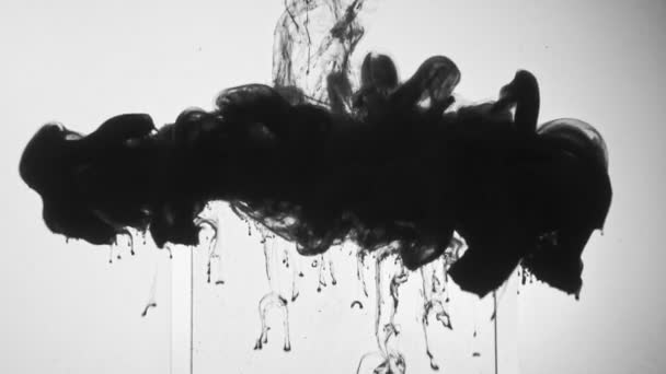 Dampf Wolke schwarze Tinte spritzt Glas Würfelwasser — Stockvideo