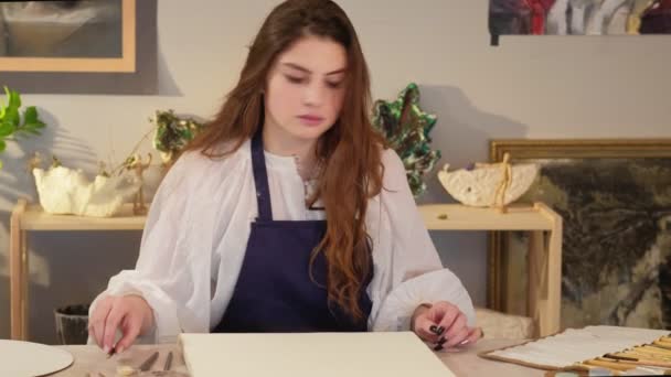 Arte hobby talentoso mulher paintbrushes lona — Vídeo de Stock