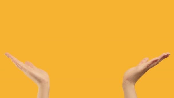 ensemble 2 gestes signal promotionnel mains copyspace 