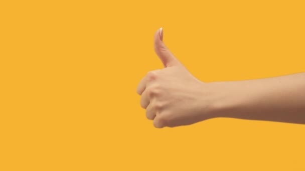 Установить 2 жеста руки, одобрение не нравится большой палец вверх — стоковое видео