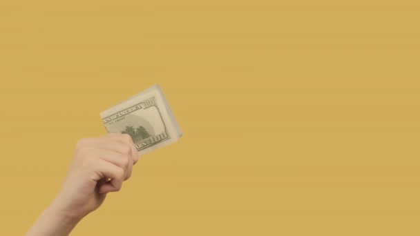 Peněžní gesto finanční transakce ruční dolary — Stock video