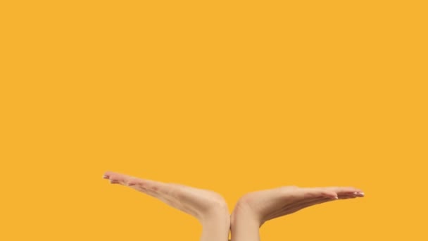 Conjunto 3 gestos mão apresentação fundo laranja — Vídeo de Stock