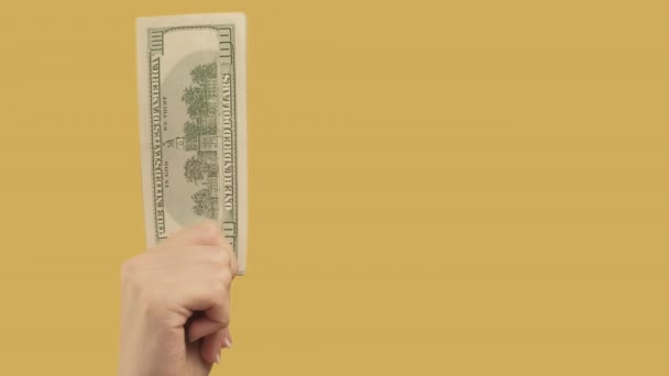 Mãos renda passiva dólares conjunto 2 gestos de dinheiro — Vídeo de Stock