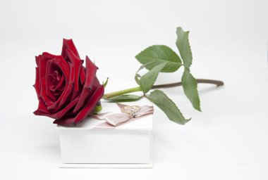 Romantik hediye. Çiçekler ve takı