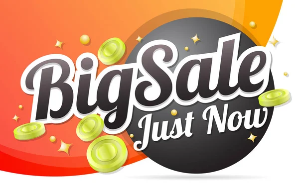 Big sale template banner Vector background — Stock Vector