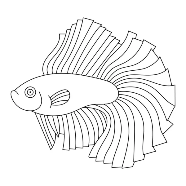 Aquarium Fish Cockerel Illustration For Kids And Adults — Stock Illustration Aquarium Fish Cockerel Illustration For Kids And Adults Stock Vector