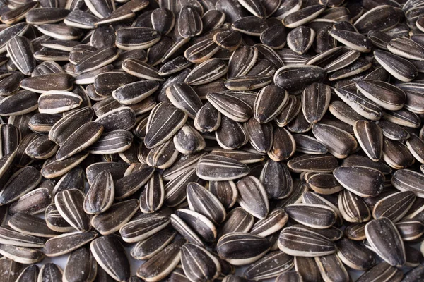 Background of sunflower seeds — Stock Photo, Image