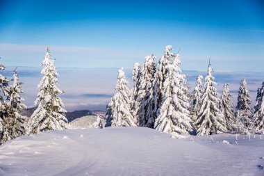 Dağ kayak merkezi, Romanya, Transilvanya, Brasov,