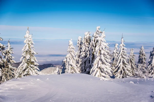 Skidanläggning i bergen, Rumänien, Transsylvanien, Brasov, Poiana Brasov — Stockfoto