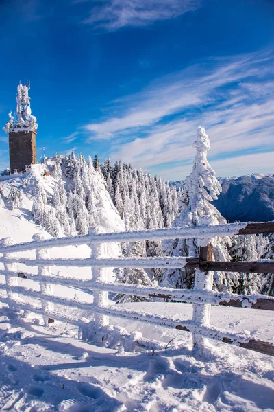 Cerca de madera nevada en las montañas —  Fotos de Stock