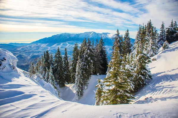 Skidanläggning i bergen, Rumänien, Transsylvanien, Brasov, Poiana Brasov — Stockfoto