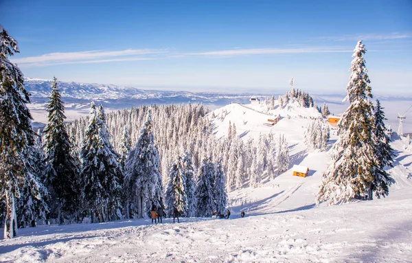 Dağ kayak merkezi, Romanya, Transilvanya, Brasov,