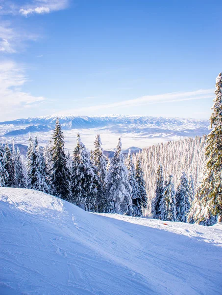 Horské lyžařské středisko, Rumunsko, Transylvánie, Brasov, Poiana Brasov — Stock fotografie