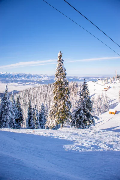 Estación de esquí de montaña, Rumania, Transilvania, Brasov, Poiana Brasov — Foto de Stock