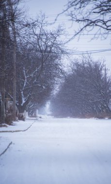 Kırsal manzara kış