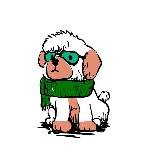 Caniche Dibujos Animados Con Bufanda Gafas — Foto de Stock