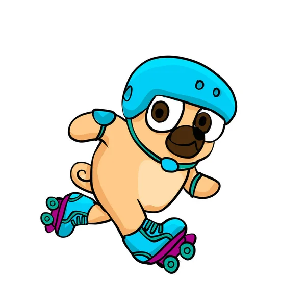 Pug Com Patins Capacete — Fotografia de Stock