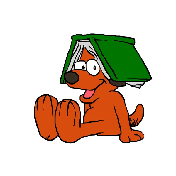 Dog with book on head