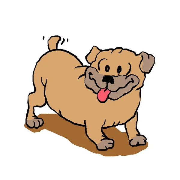 Cartoon Happy Pug Illustration — Stock Photo, Image