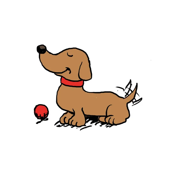 Glücklicher Hund Der Spielen — Stockfoto