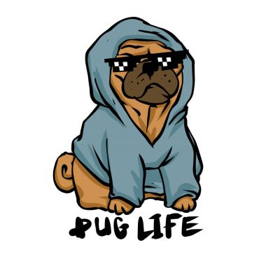 Pug hayat. çete pug