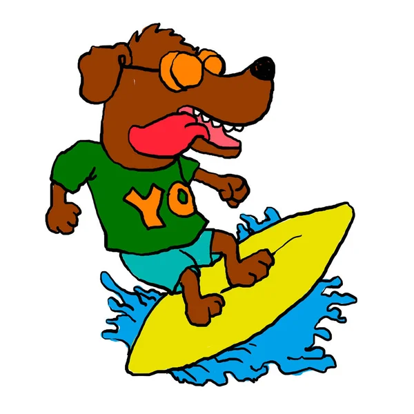 Perro Surfista Perro Gracioso Perro Loco — Foto de Stock