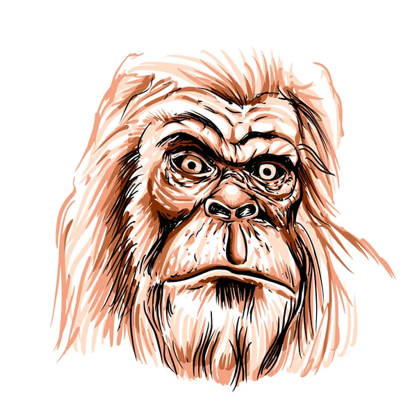 Bigfoot Tvář Kreslený Obrázek — Stock fotografie