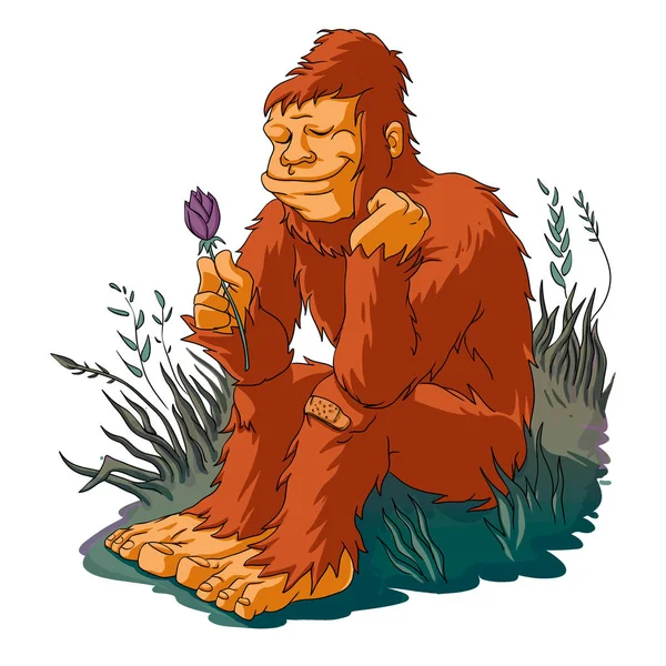 Bigfoot Desenhos Animados Amor — Fotografia de Stock