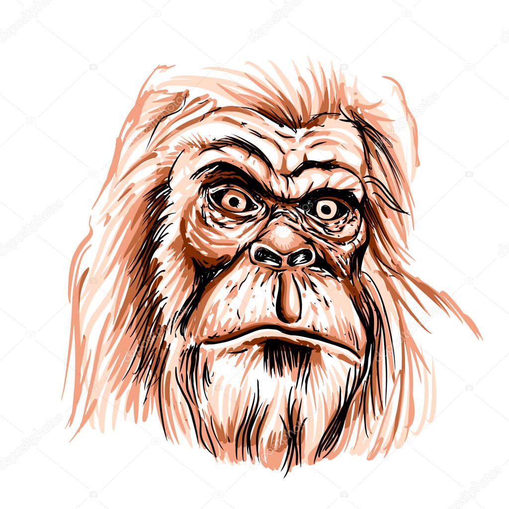 Bigfoot face cartoon illustration