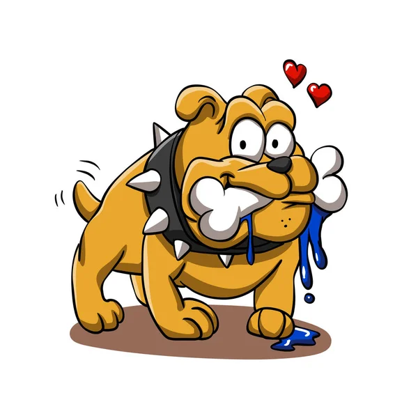 Bulldog Con Hueso Enamorado — Foto de Stock