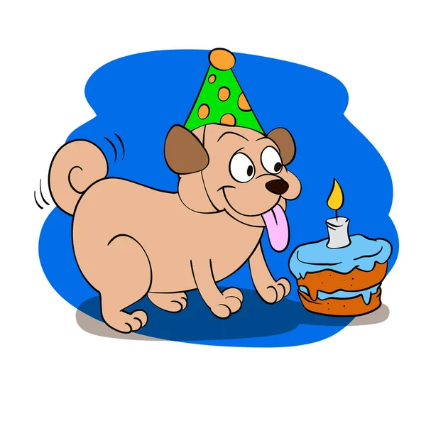 Feliz Aniversário Pug Desenhos Animados — Fotografia de Stock