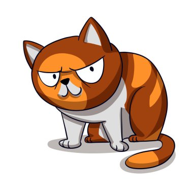 Kızgın kedi - şirin kedi - komik kedi