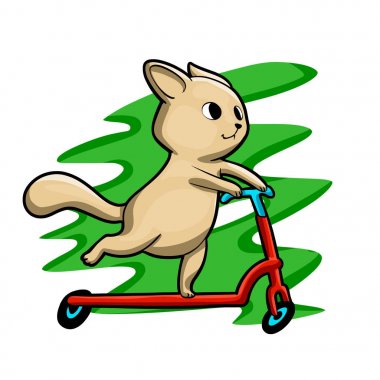 Kedi binme Scooter yaz aylarında