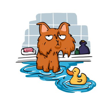 Duşta - ıslak kedi kedi