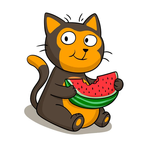 Kat Eet Watermeloen Cartoon — Stockfoto