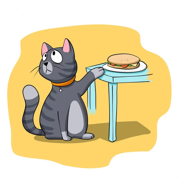 Katze Versucht Sandwich Stehlen — Stockfoto