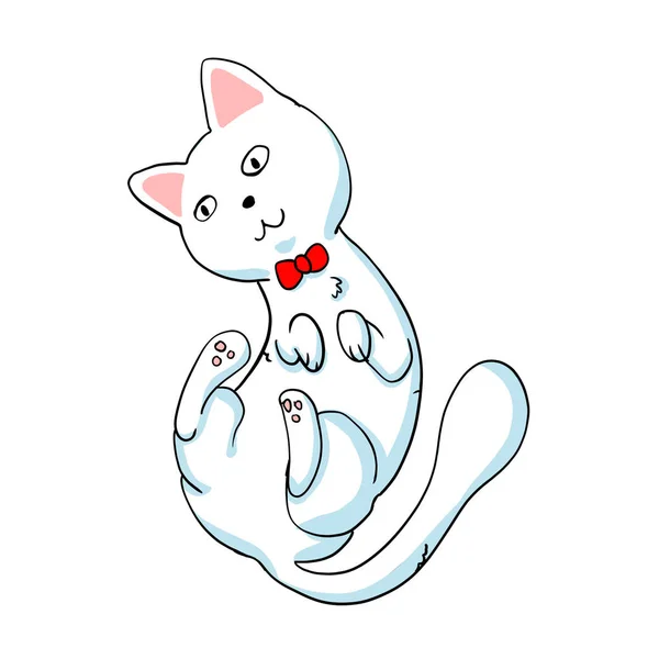 Kočka Bow Tie Funny Cat Kočka Kresleného — Stock fotografie
