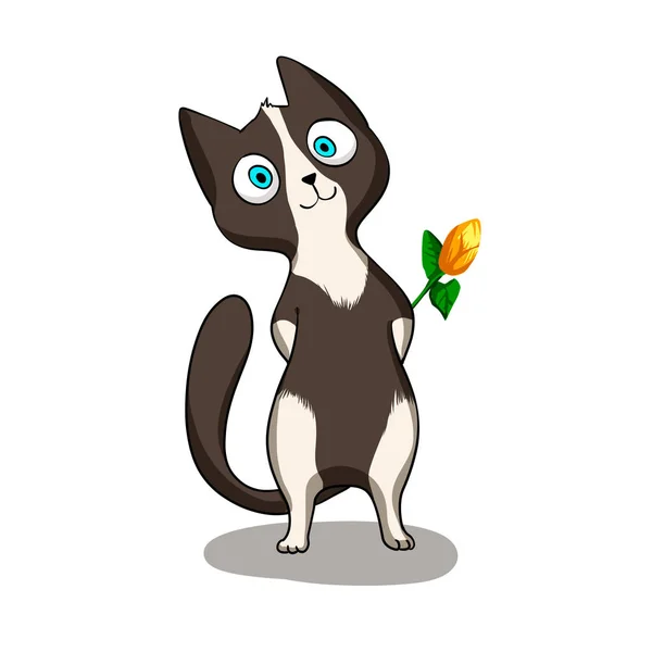 带花的燕尾服猫 — 图库照片